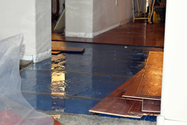 Professional Water Damage technician working in Cedar Creek, TX